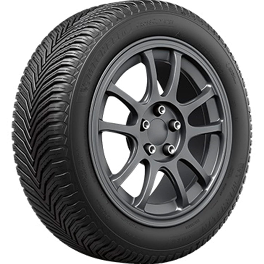 225/60R17 99H Tire F261
