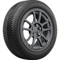 225/60R17 99H Tire F261