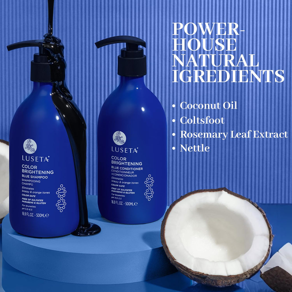 Blue Shampoo & Conditioner Set 2x16.9oz P955619