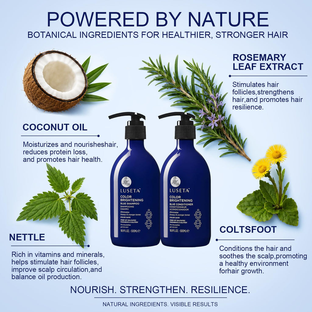 Blue Shampoo & Conditioner Set 2x16.9oz P955619