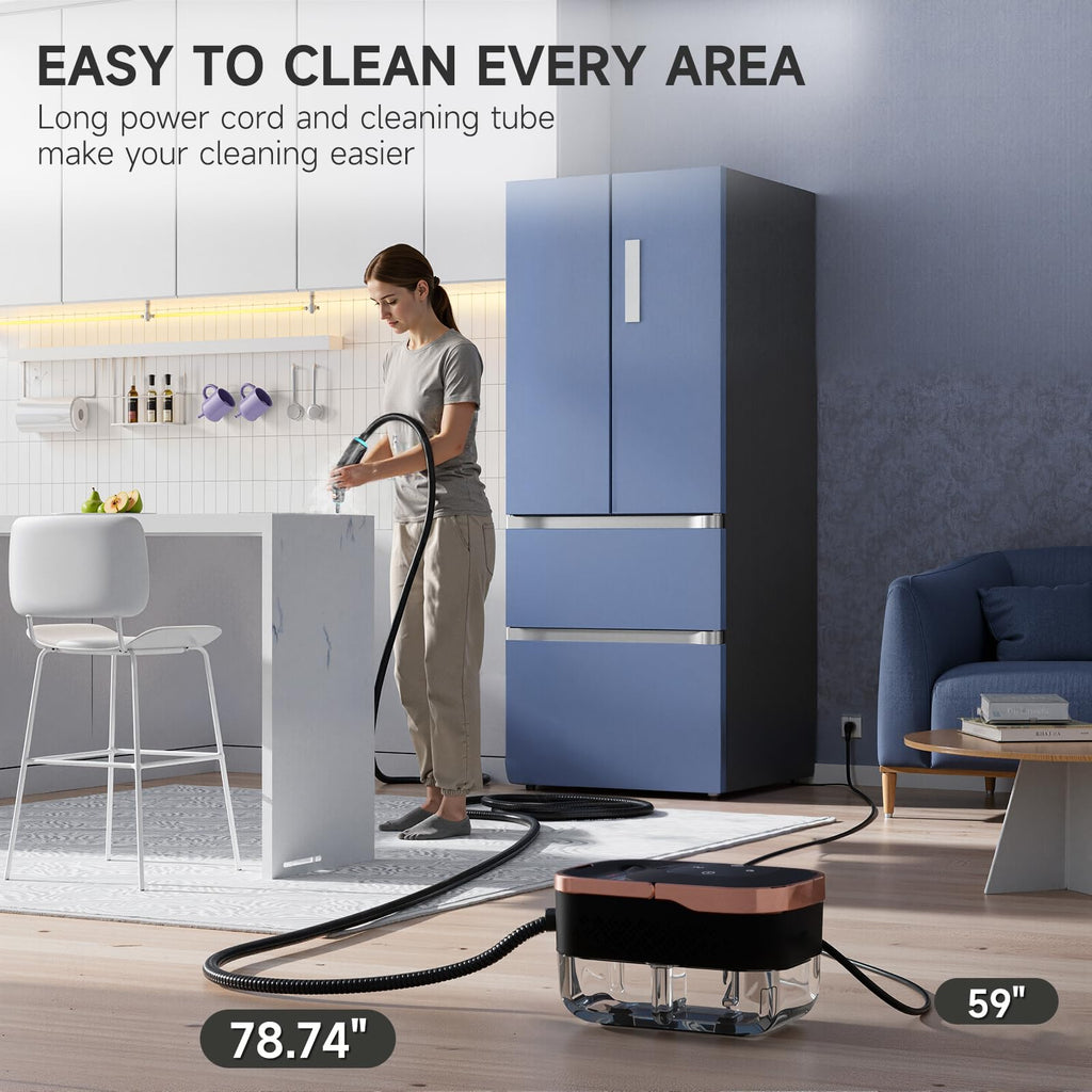 Steam Cleaner with Replacement Heads B189668