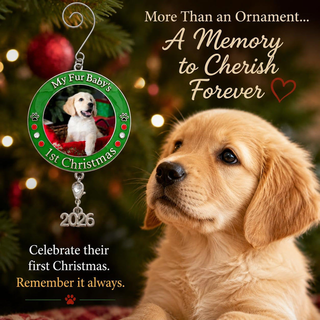 Dog Christmas Photo Ornament 3-Pack 3 Inch Z12349