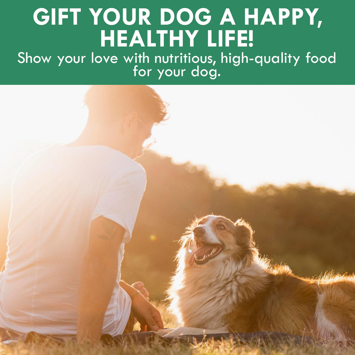 Plant-Based Dog Food Toppers Supplement Powder 50g U392