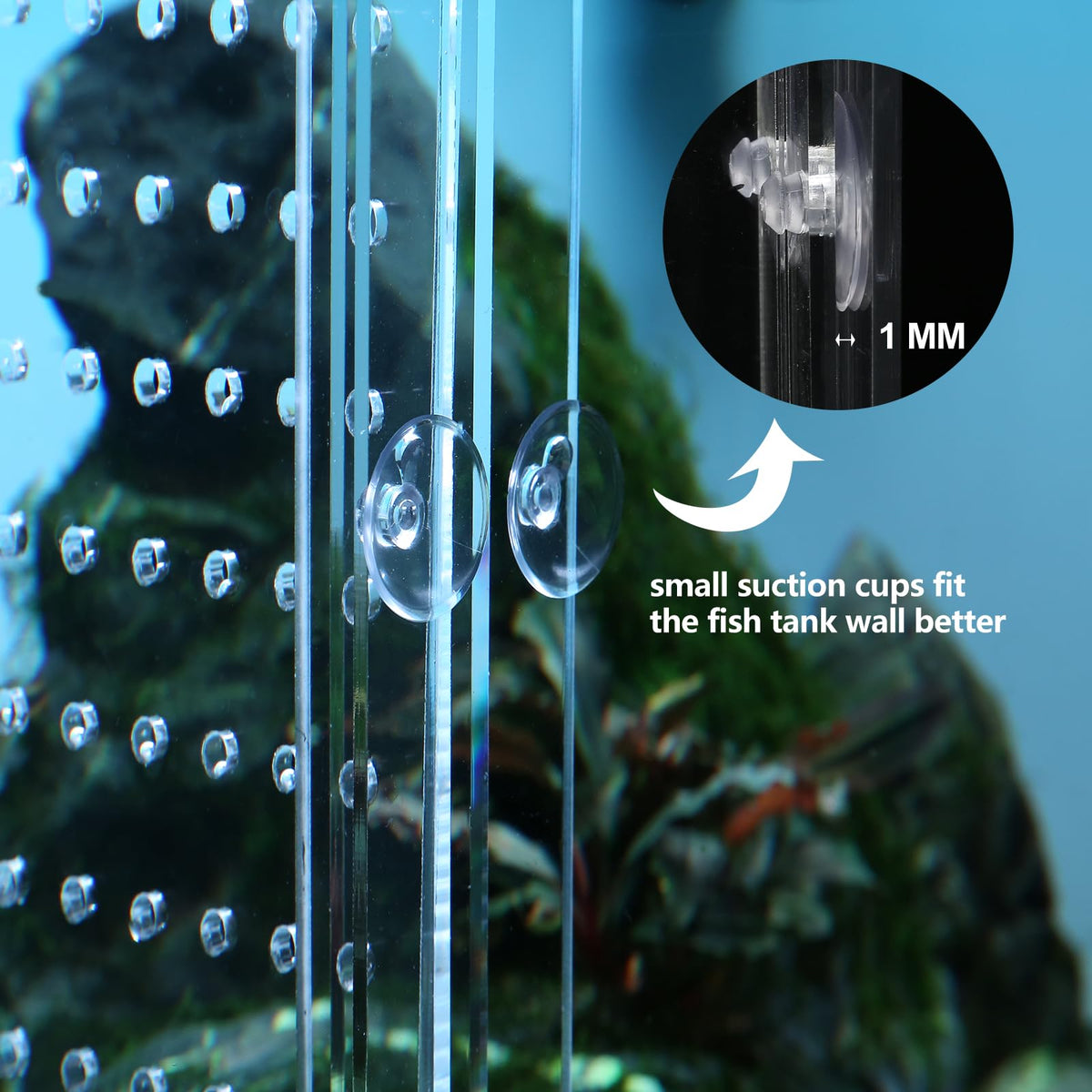 Acrylic Fish Tank Divider with Suction Cups R2566