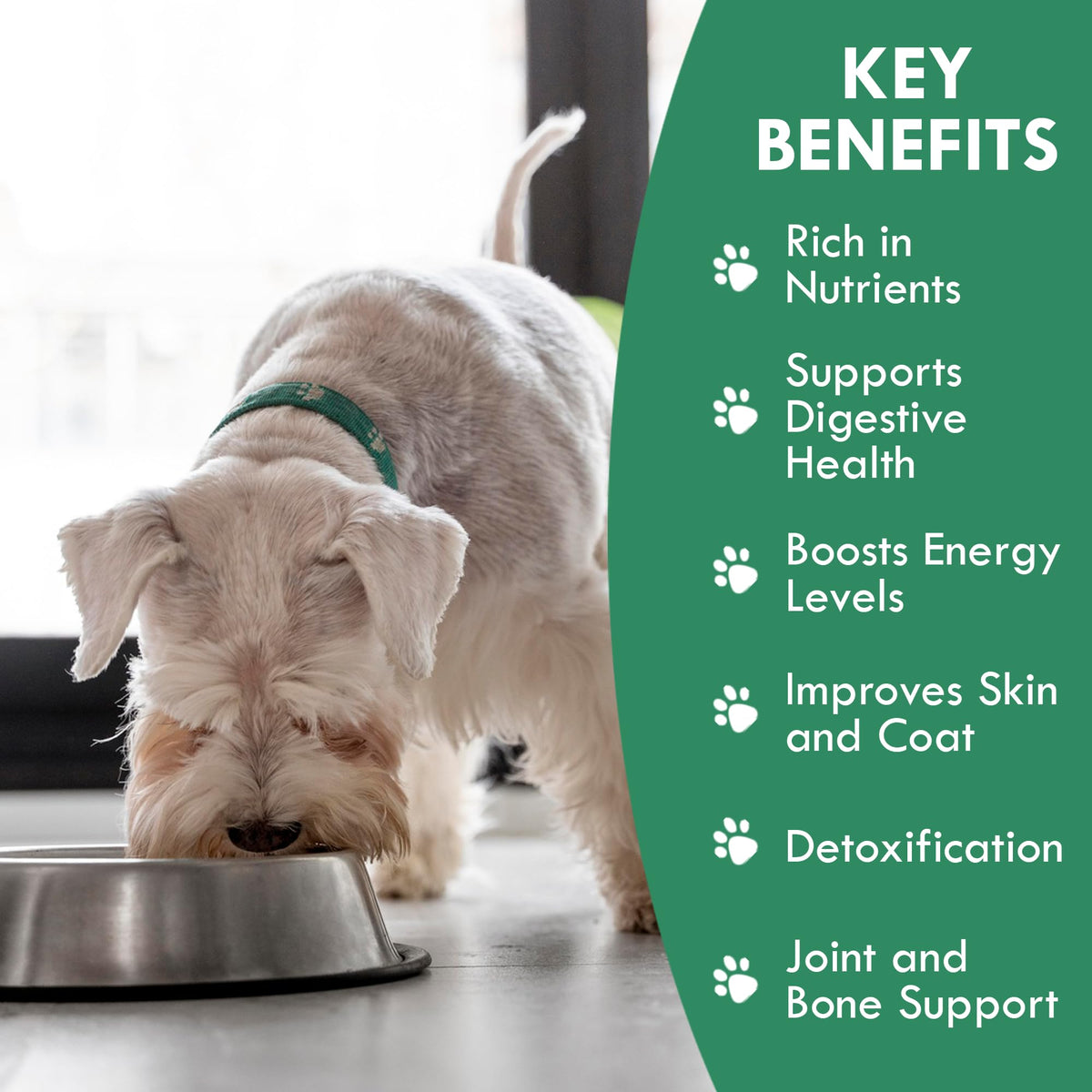 Plant-Based Dog Food Toppers Supplement Powder 50g U392