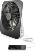 10 in Portable Desk Fan 2-Speed with USB Port Y416067