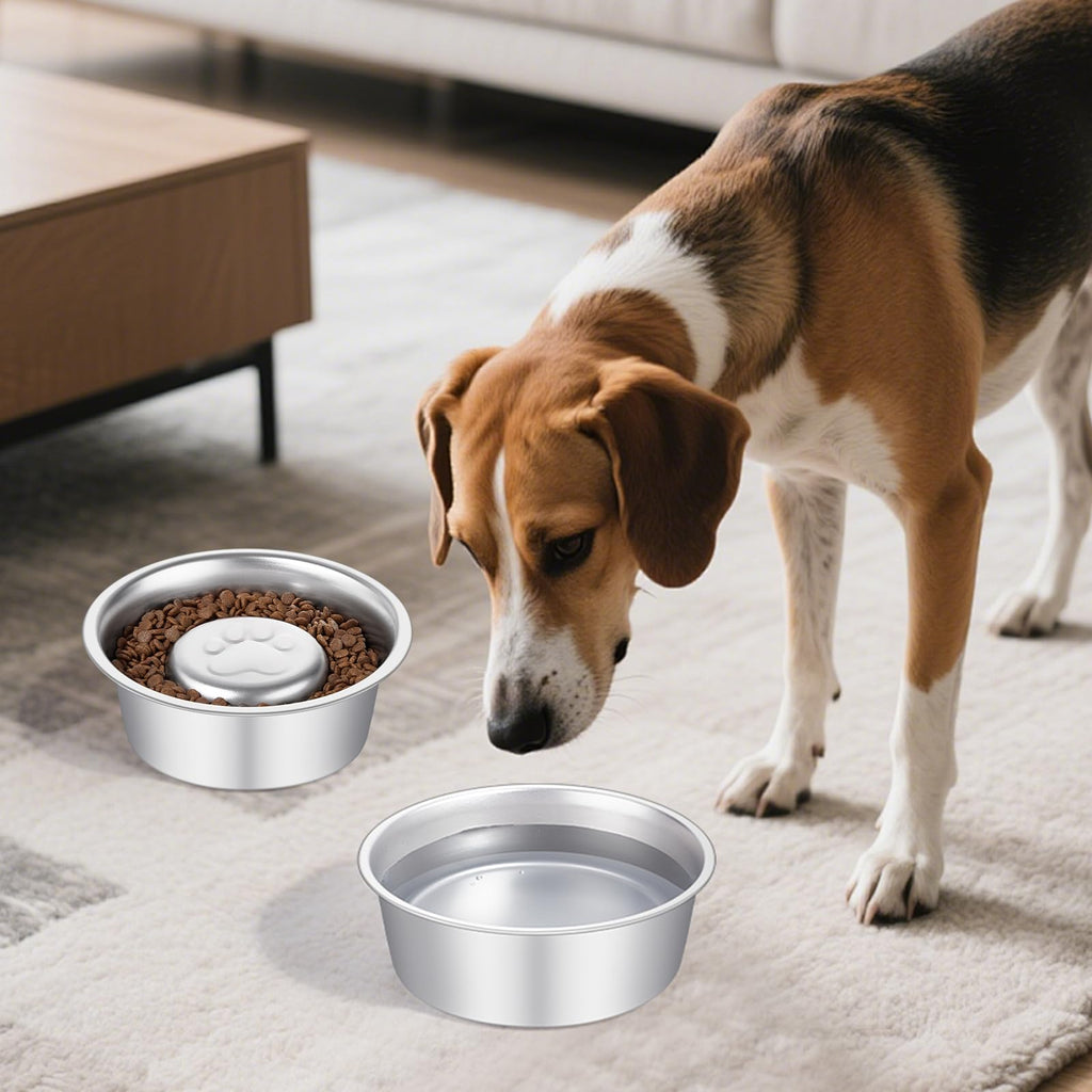 Stainless Steel Pet Dog Water and Food Bowl, 2-Pack Y414