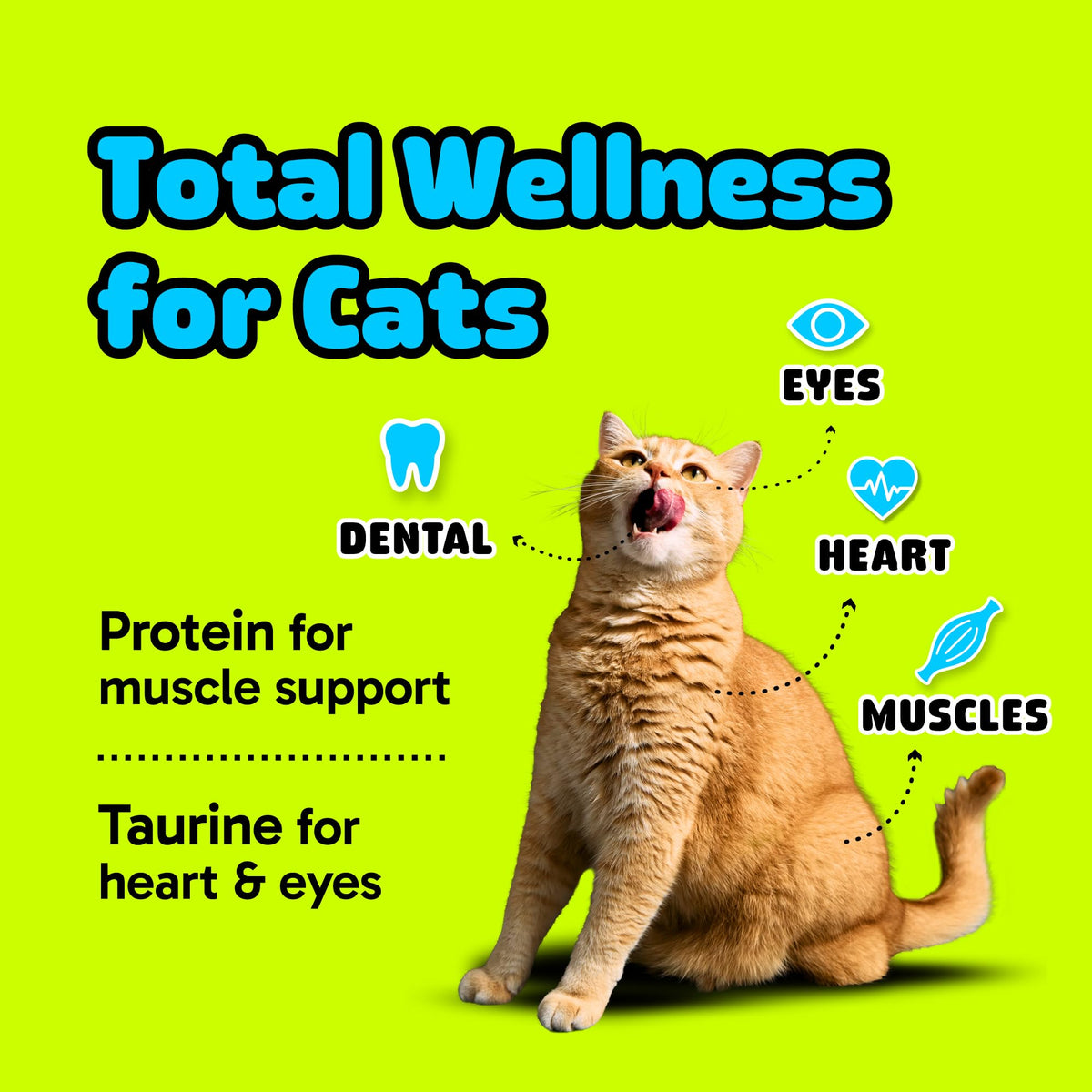 Cat Dental Chew Stick Bites Supplement with Taurine M786