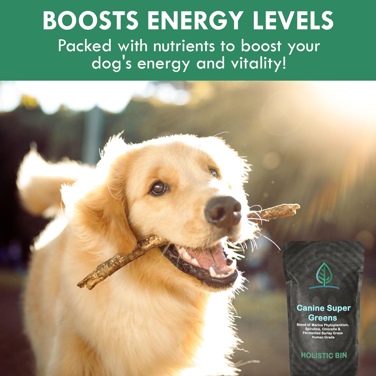 Plant-Based Dog Food Toppers Supplement Powder 50g U392