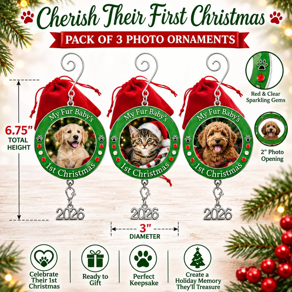 Dog Christmas Photo Ornament 3-Pack 3 Inch Z12349