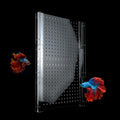 Acrylic Fish Tank Divider with Suction Cups R2566