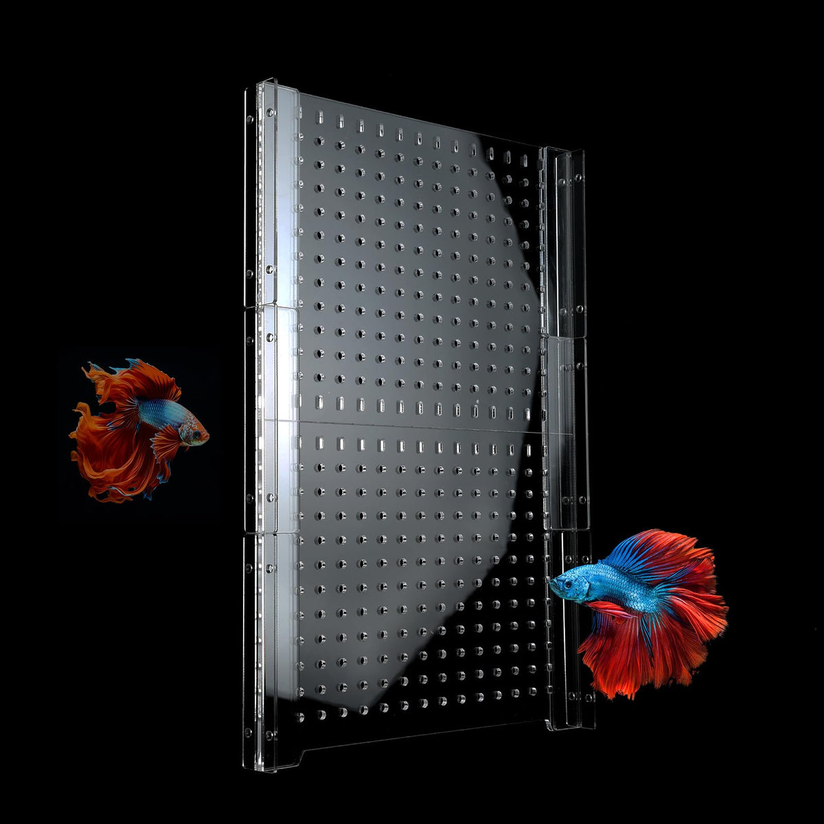 Acrylic Fish Tank Divider with Suction Cups R2566