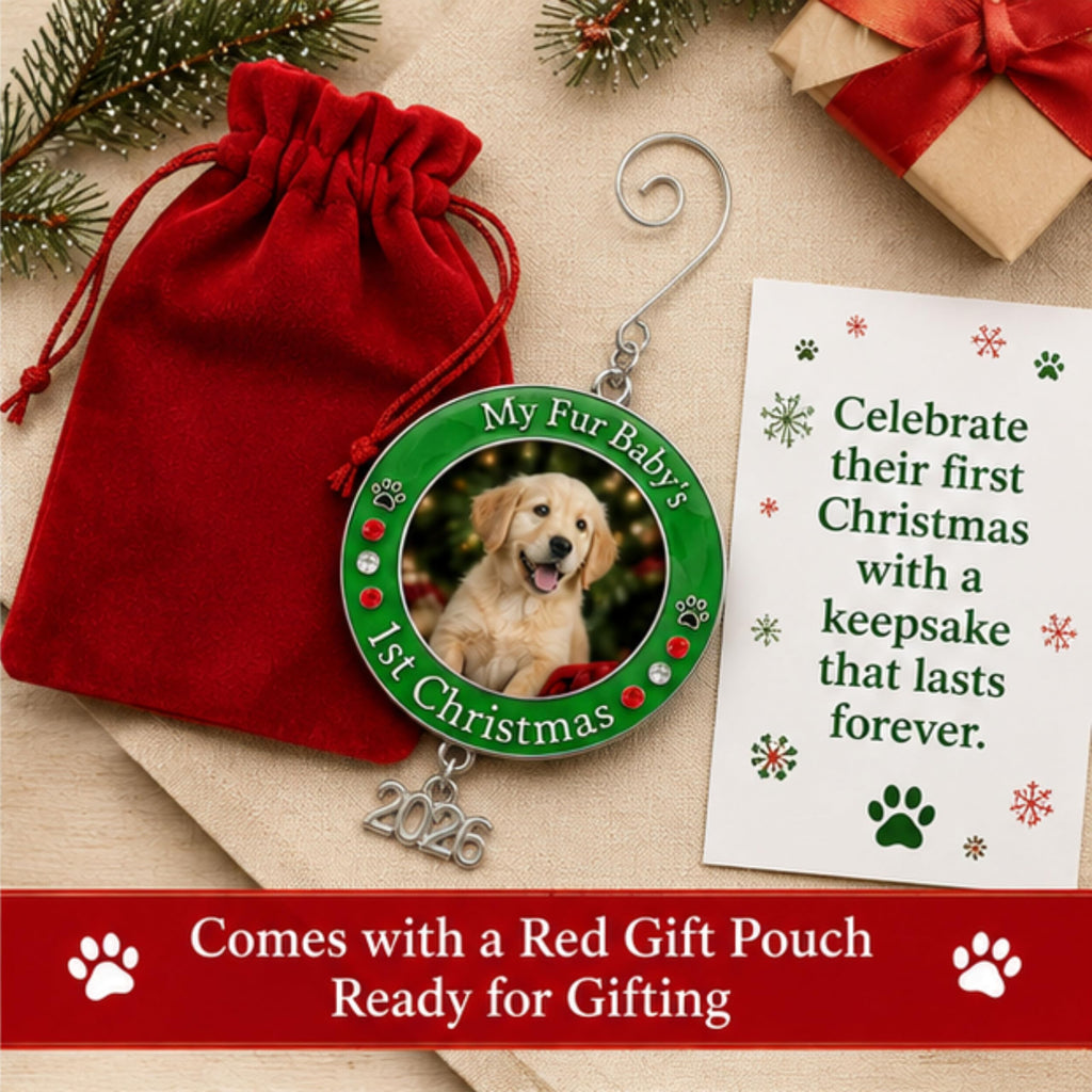 Dog Christmas Photo Ornament 3-Pack 3 Inch Z12349