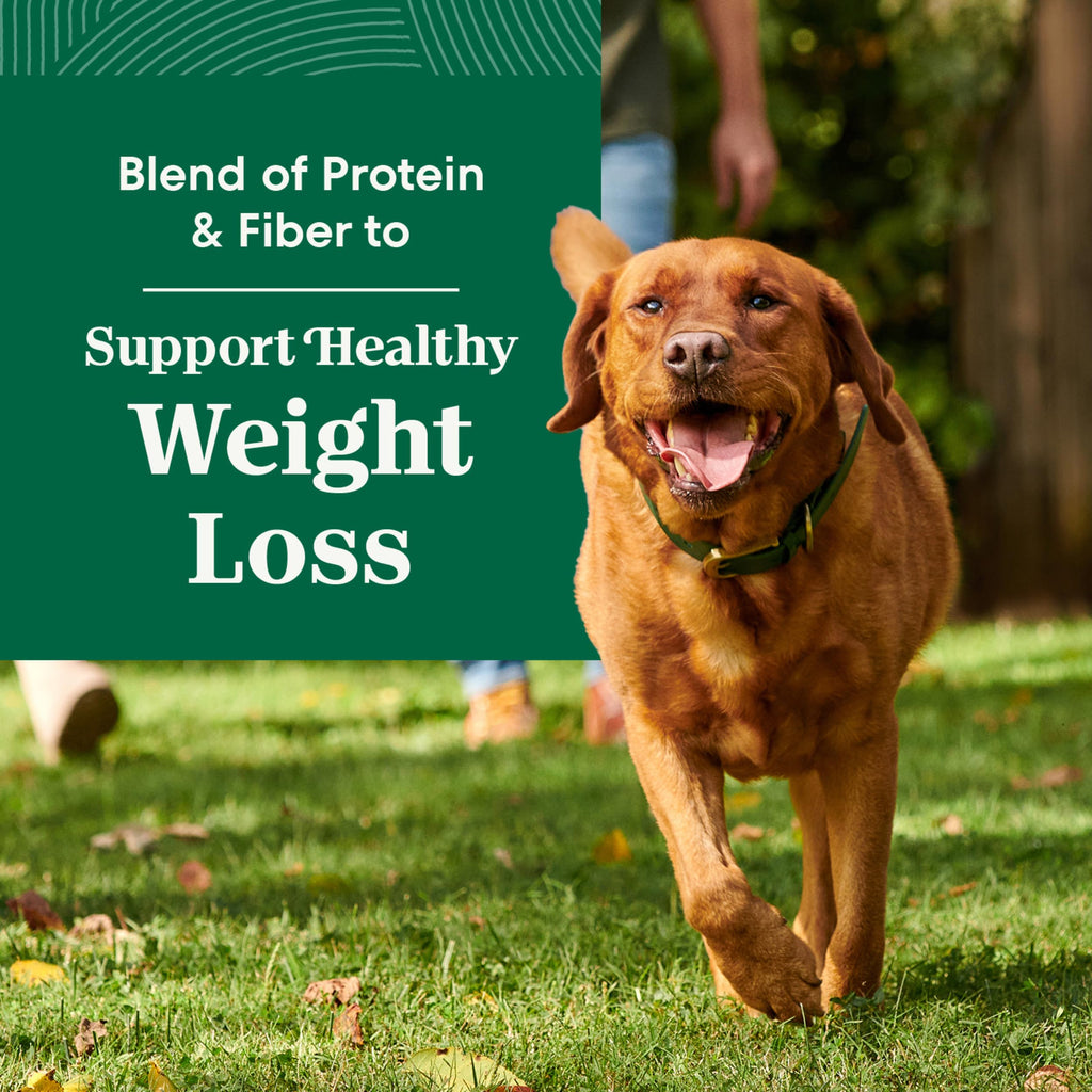 Healthy Weight Chicken & Rice Dry Dog Food 30 lb R1402