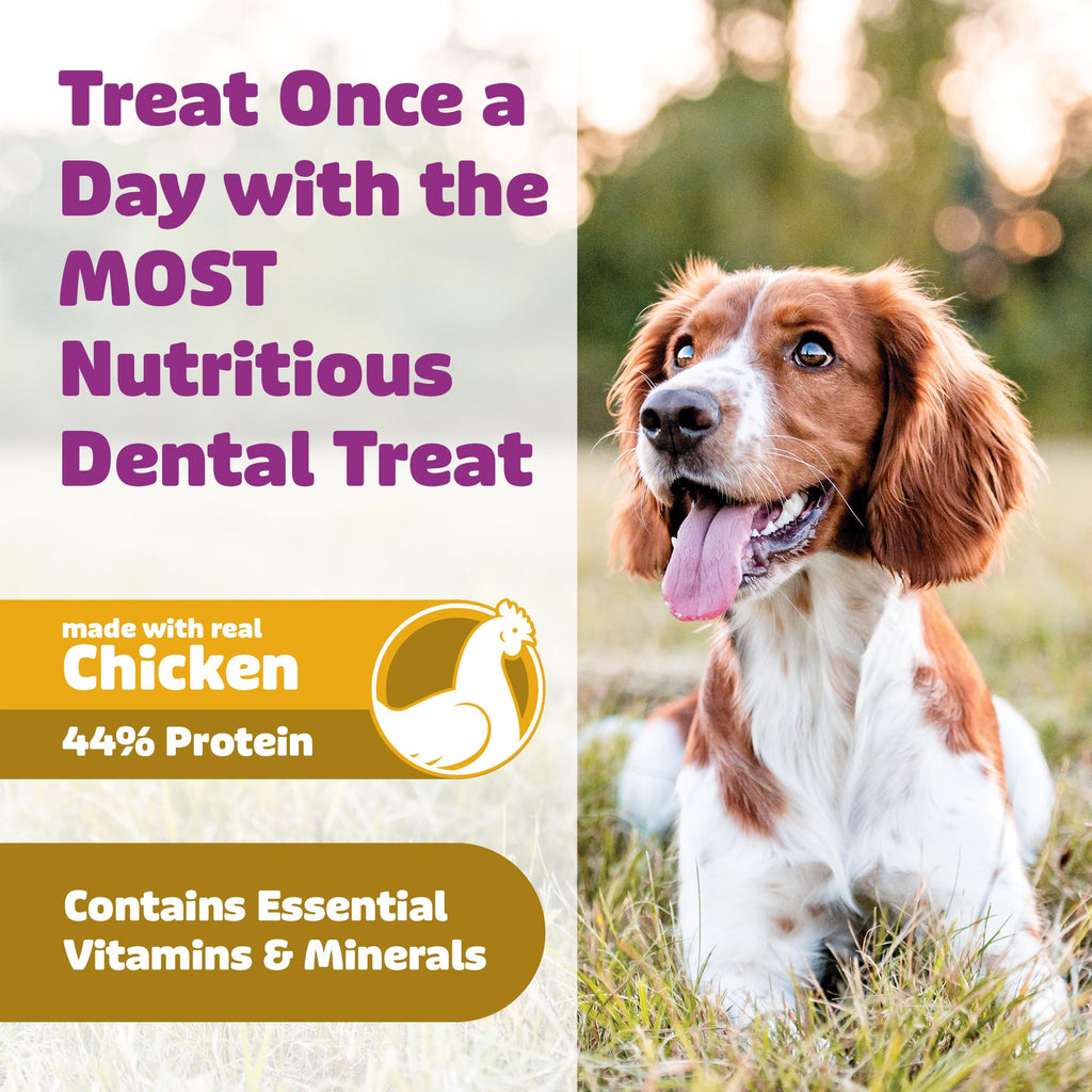 Chicken Dog Dental Treats 24oz & 36 oz P8582
