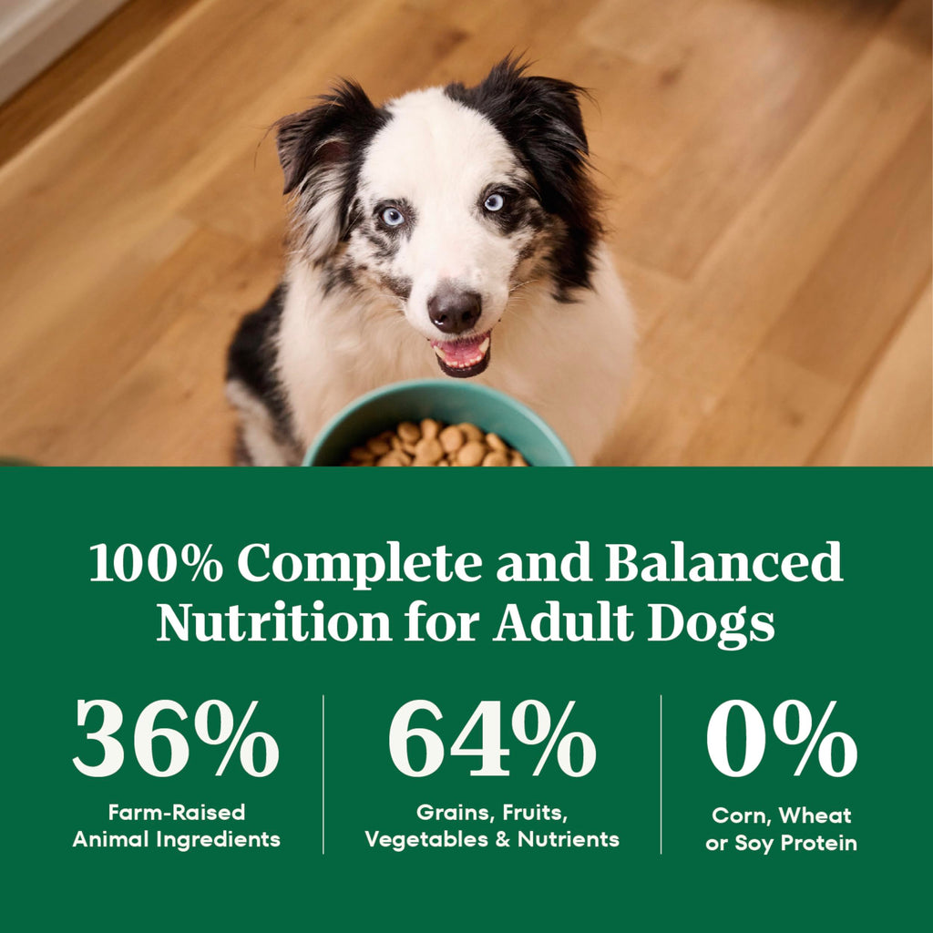 Healthy Weight Chicken & Rice Dry Dog Food 30 lb R1402