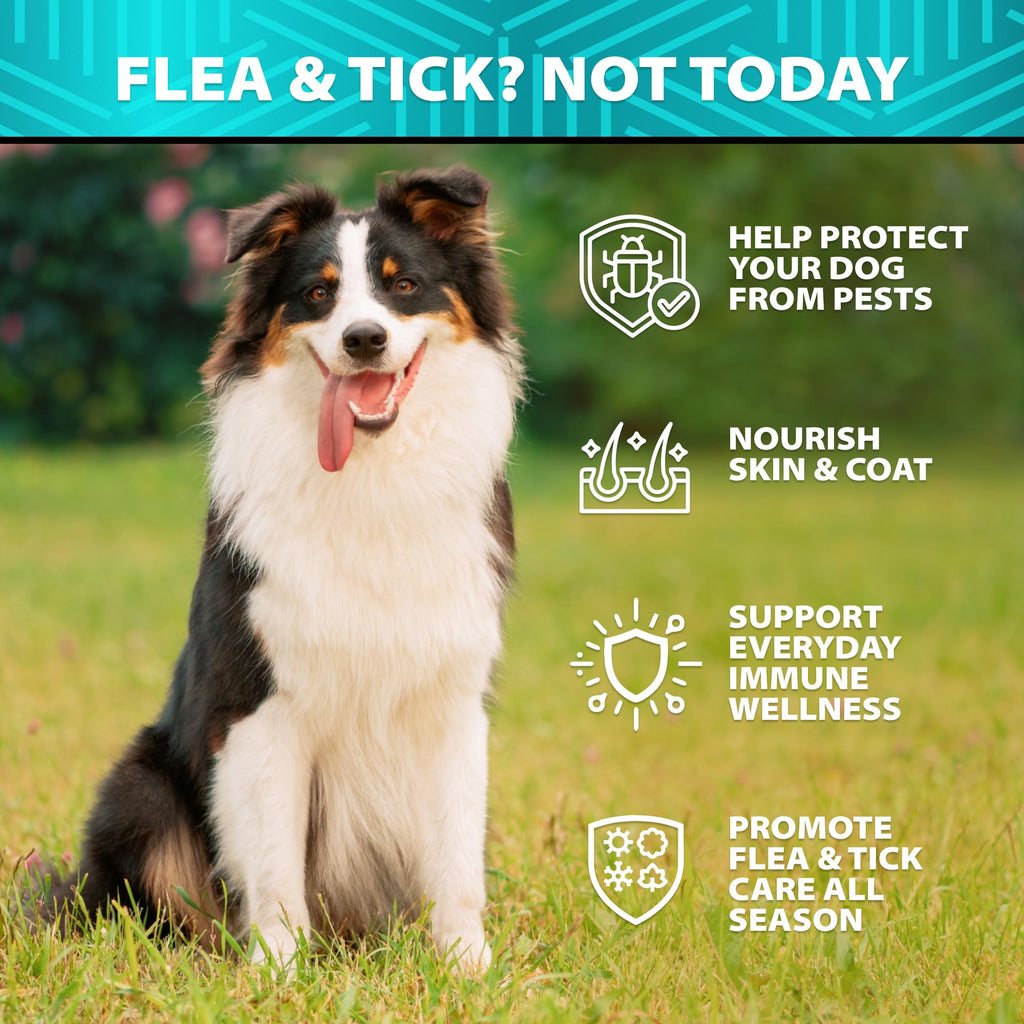 Natural Flea & Tick Chews for Dogs J98283