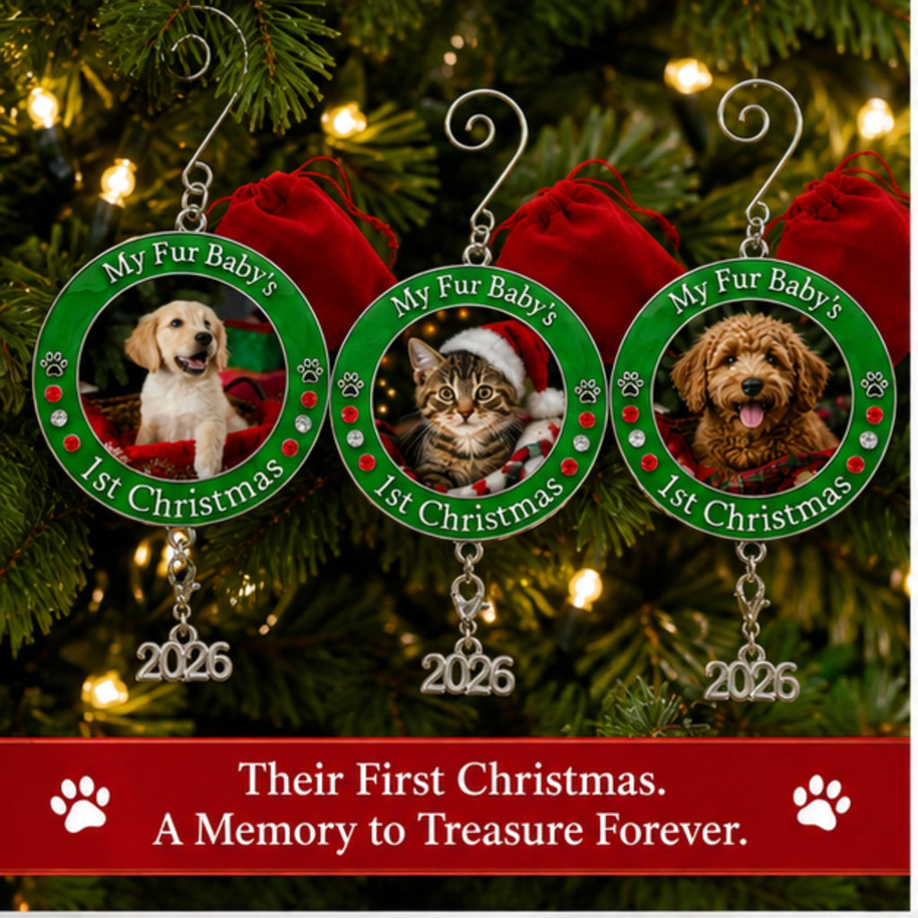 Dog Christmas Photo Ornament 3-Pack 3 Inch Z12349
