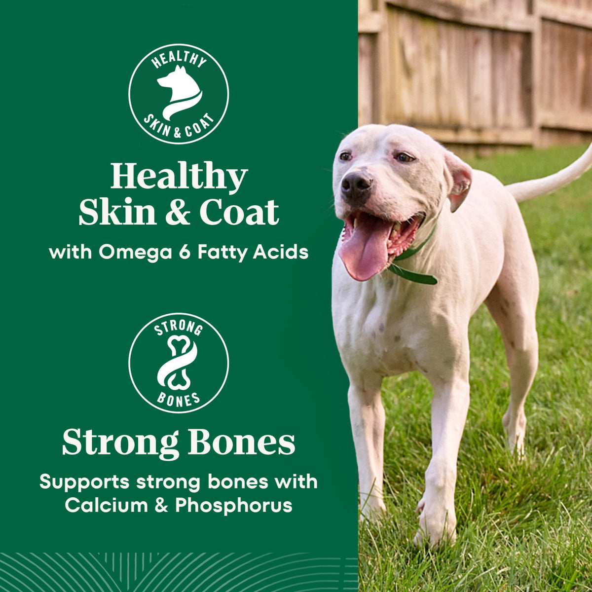 Healthy Weight Chicken & Rice Dry Dog Food 30 lb R1402
