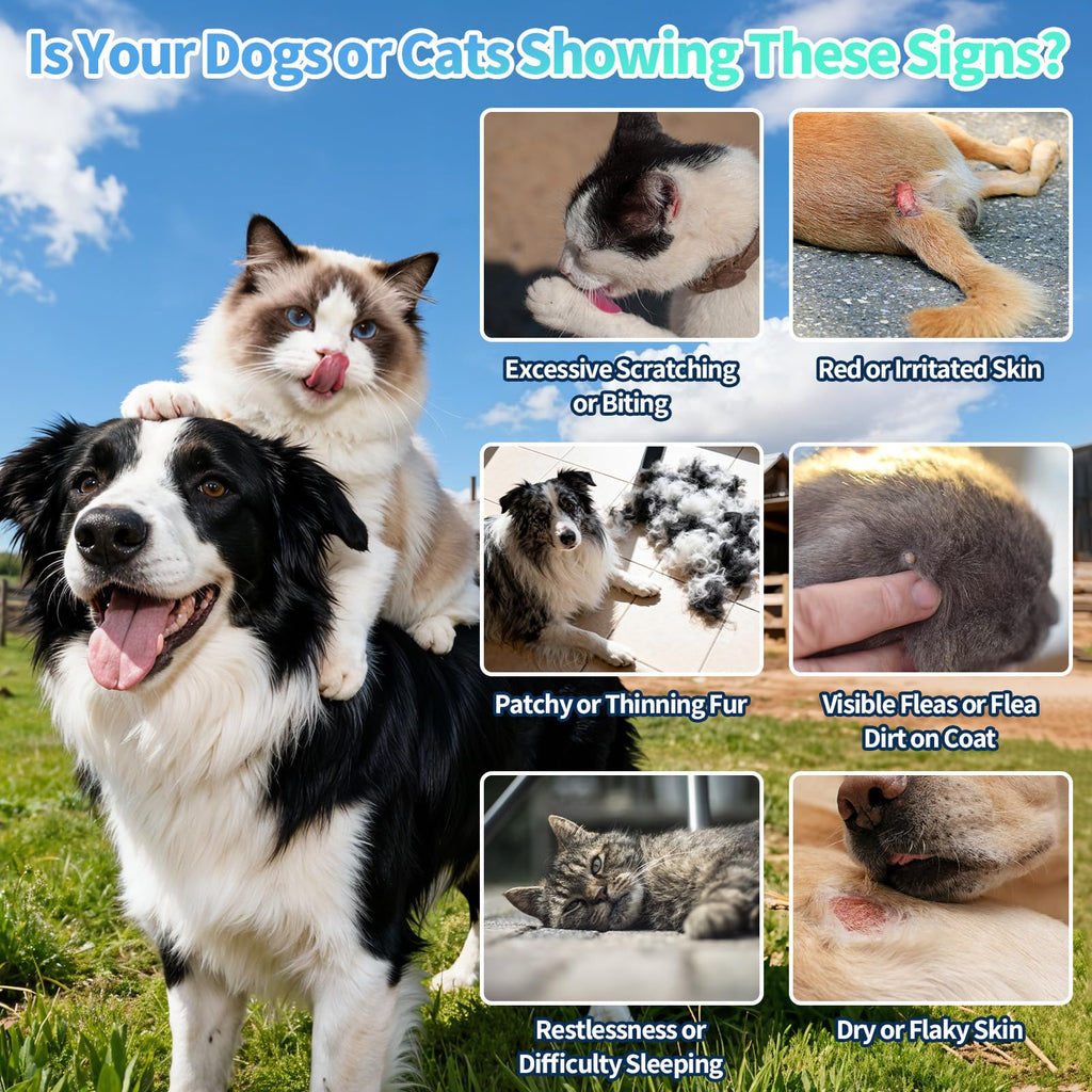 Natural Oral Flea and Tick Drops with Multivitamin for Pets H169