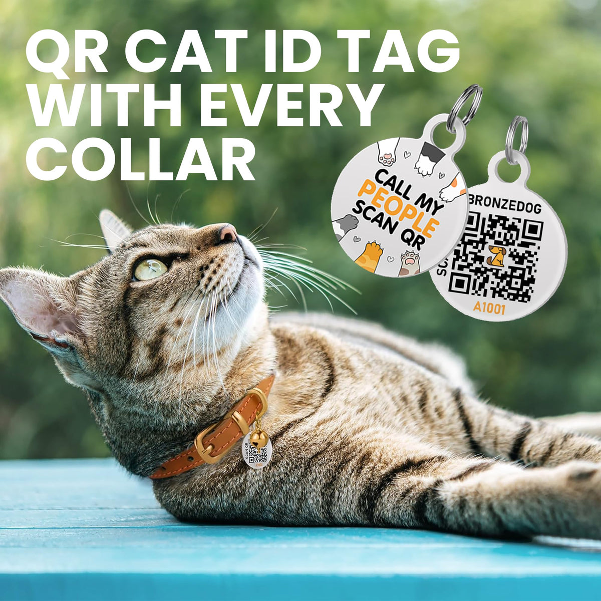 Black Gold Leather Cat Collar with Removable Bells O769