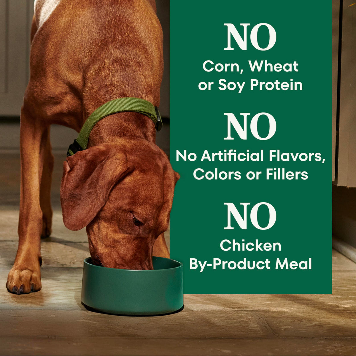 Healthy Weight Chicken & Rice Dry Dog Food 30 lb R1402