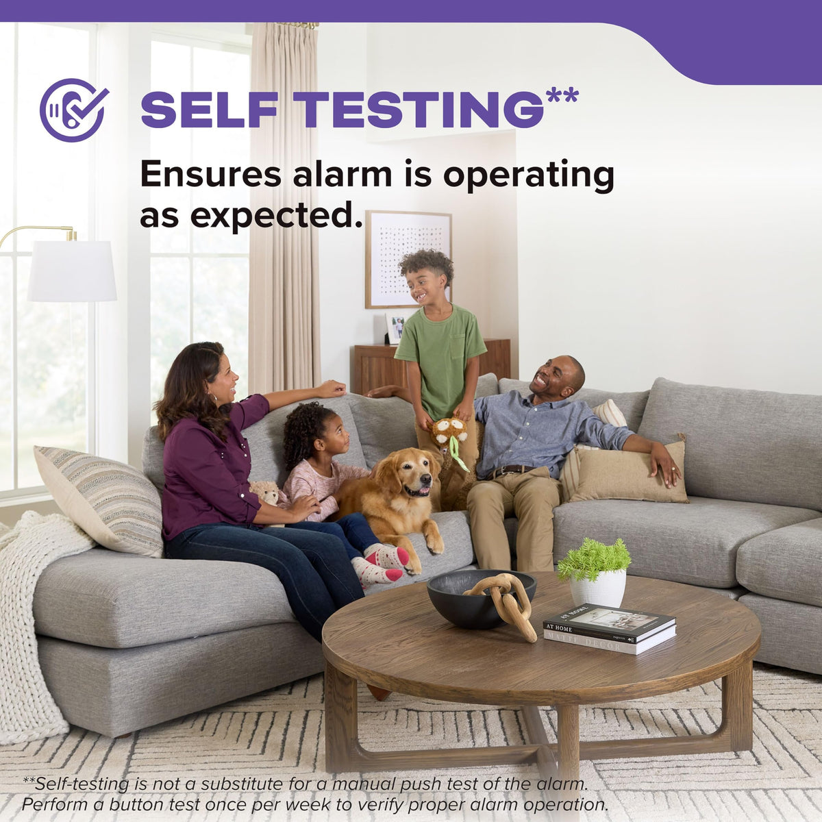 Smoke & Carbon Monoxide Detector, AA Battery-Powered, 3 Pack M1060